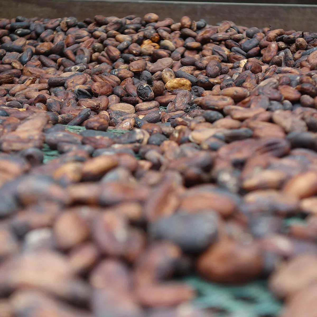 Rượu mùi Bols Crème de Cacao Brown 700ml — Hương vị & cảm nhận
