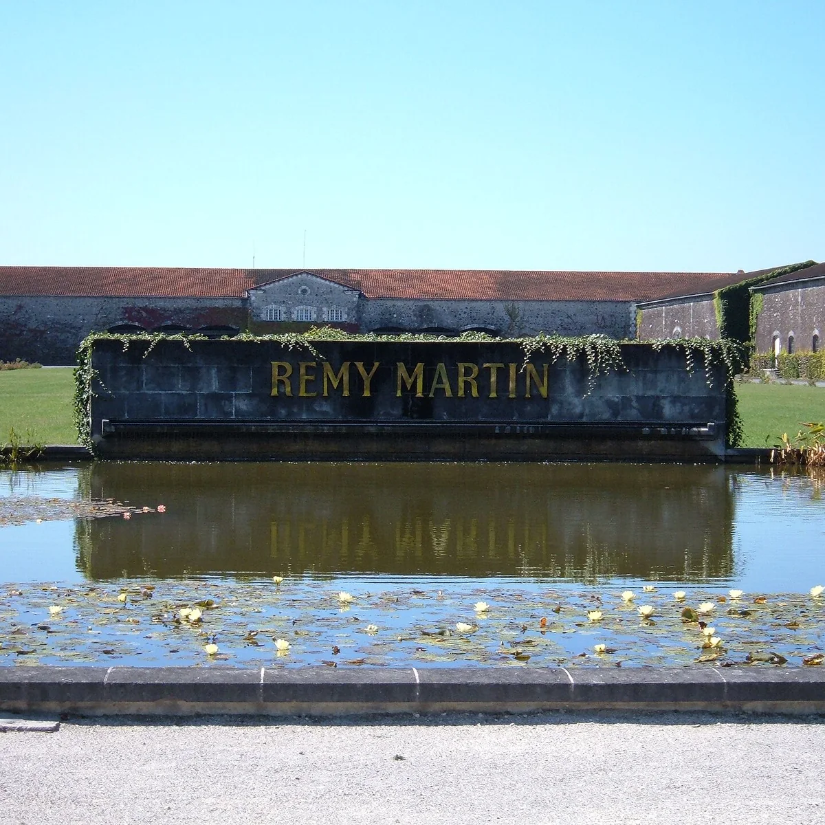 Cognac Rémy Martin VSOP 700ml — Giới thiệu sản phẩm